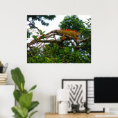 Poster Orange Iguana (Bureau à domicile)