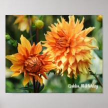 Orange & Jaune Dahlia Fleurs de Jardin RHS Wisley