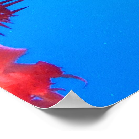 POSTER ORANGE JELLY FISH (Coin)