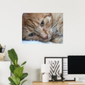 Poster Orange Kitty (Bureau à domicile)