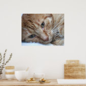 Poster Orange Kitty (Cuisine)
