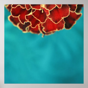 Poster Orange Marigold Fleur Pétale Macro Abstrait