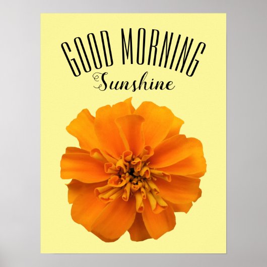 Poster Orange Marigold Good Morning Sunshine (Devant)