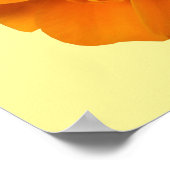 Poster Orange Marigold Good Morning Sunshine (Coin)