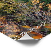 Poster Orange Red Bush (Coin)