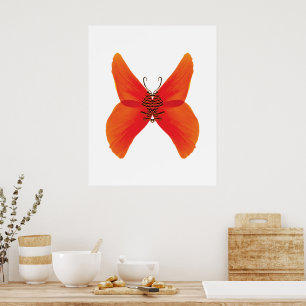 Poster Orange Red Poppy Butterfly with Your Name