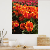 Poster Orange & Red Tulips (Cuisine)