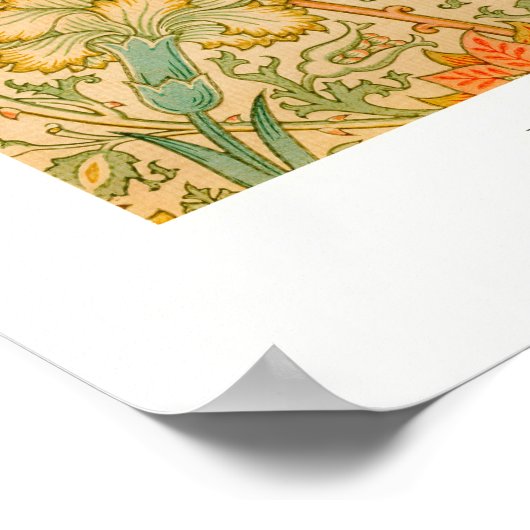 Poster Orange Rose (Coin)