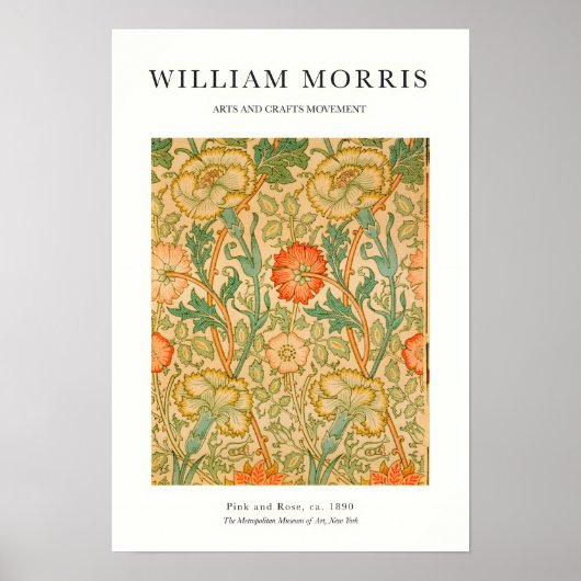 Poster Orange Rose (Devant)