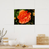 Poster Orange Rose I Plutôt Floral (Cuisine)