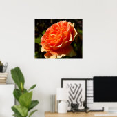Poster Orange Rose II Belle florale (Bureau à domicile)