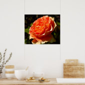Poster Orange Rose II Belle florale (Cuisine)