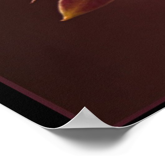 Poster Orange-Rouge (Coin)