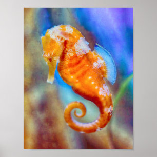 Poster Orange Seahorse délice