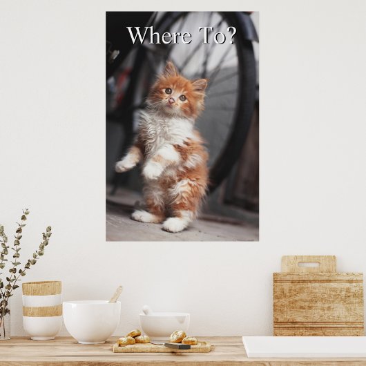 Poster Orange Tabby Kitten (Cuisine)