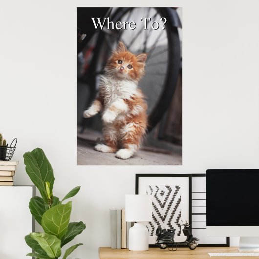 Poster Orange Tabby Kitten (Bureau à domicile)