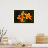 Poster Orange Tiger Lillies et bourgeons Fermer la photo (Cuisine)