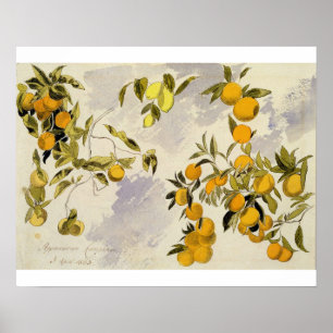 Poster Orange Trees, 1863 (w/c, stylo et encre sur graphi