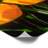 Poster Orange Tulipes fleurs (Coin)