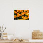 Poster Orange Tulipes fleurs (Cuisine)