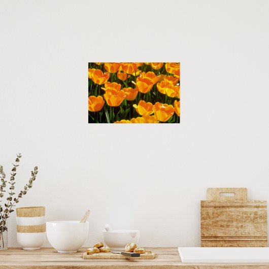 Poster Orange Tulipes fleurs (Cuisine)