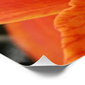Poster orange vif (Coin)