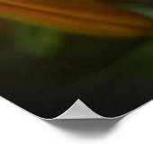 Poster orange vif (Coin)