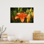 Poster orange vif (Cuisine)