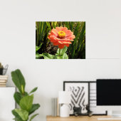 Poster Orange Zinnia (Bureau à domicile)