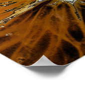 POSTER ORANGES (Coin)