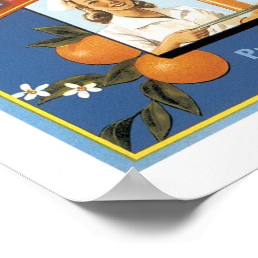 Poster Oranges de marque Blue J First-Ade (Coin)