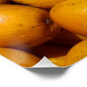 Poster Oranges fruits Floride marché orange (Coin)