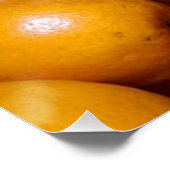 Poster Oranges fruits Floride marché orange (Coin)