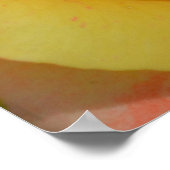 Poster Oranges "n" Citrons Rose gros plan (Coin)