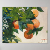 Poster Oranges sur une branche | Winslow Homer (Devant)