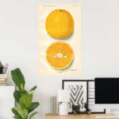 Poster Oranges vintages (Bureau à domicile)