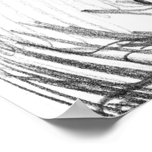 Poster orangoutan (Coin)