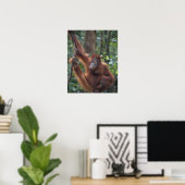 Poster Orangoutan pendu sur Liana (Bureau à domicile)
