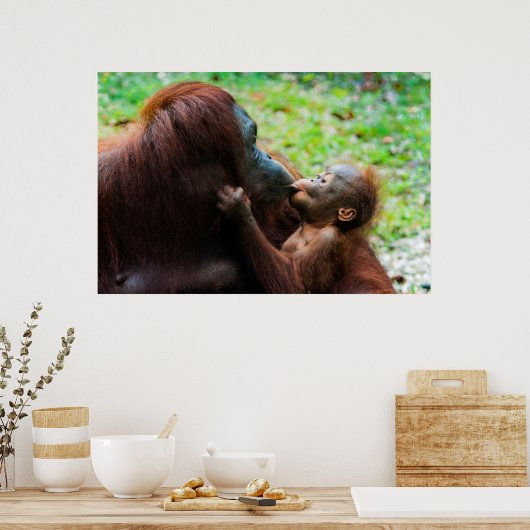 Poster Orangutan (Cuisine)