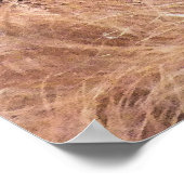 POSTER ORANGUTAN (Coin)