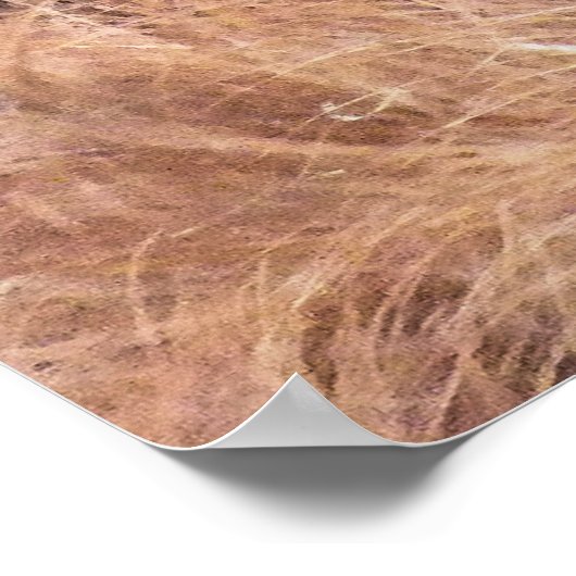 POSTER ORANGUTAN (Coin)