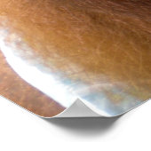 Poster Orangutan Baby (Coin)