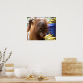 Poster Orangutan Baby (Cuisine)