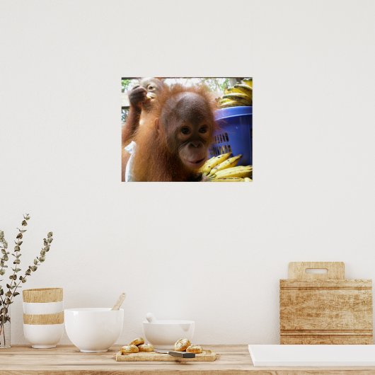Poster Orangutan Baby (Cuisine)