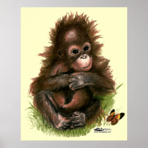 Poster Orangutan Baby and Butterfly