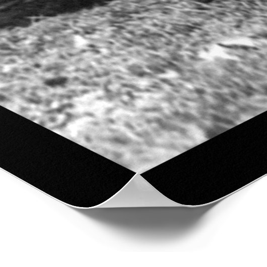 Poster Orangutan et garçon dans le parc 1920 (Coin)