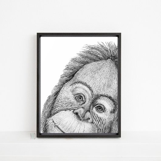 Poster Orangutan Singe noir et blanc Ligne murale
