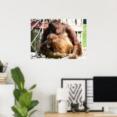 POSTER ORANGUTANS (Bureau à domicile)