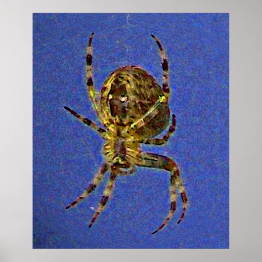 Poster Orb Spider (Devant)