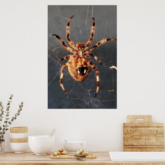 Poster Orb Weaver Spider (Cuisine)